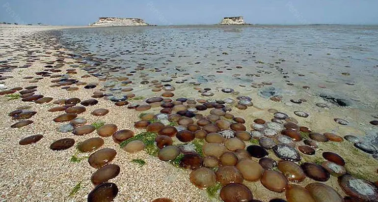 Exciting Activities on Hengam Island: An Unforgettable Journey