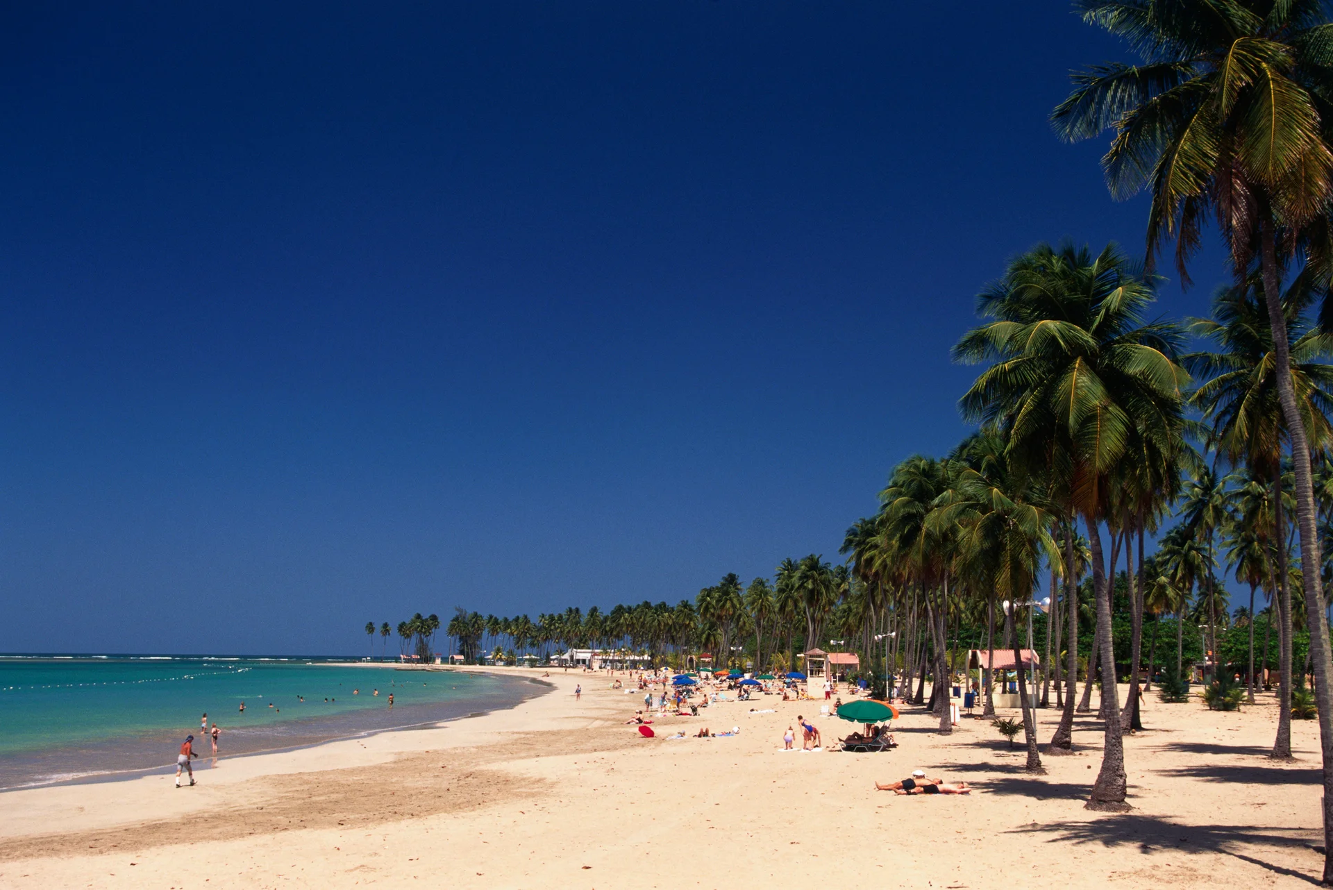 Best Family Tours with Special Discounts - Tour Takhfif