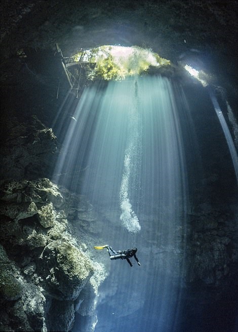 Qeshm Diving