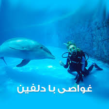 زایای یادگیری در مدرسه غواصی قشم