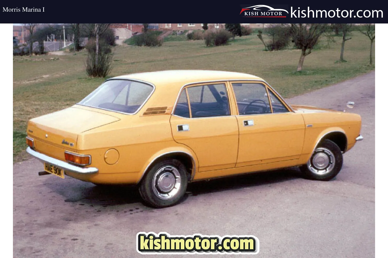 Morris Marina I