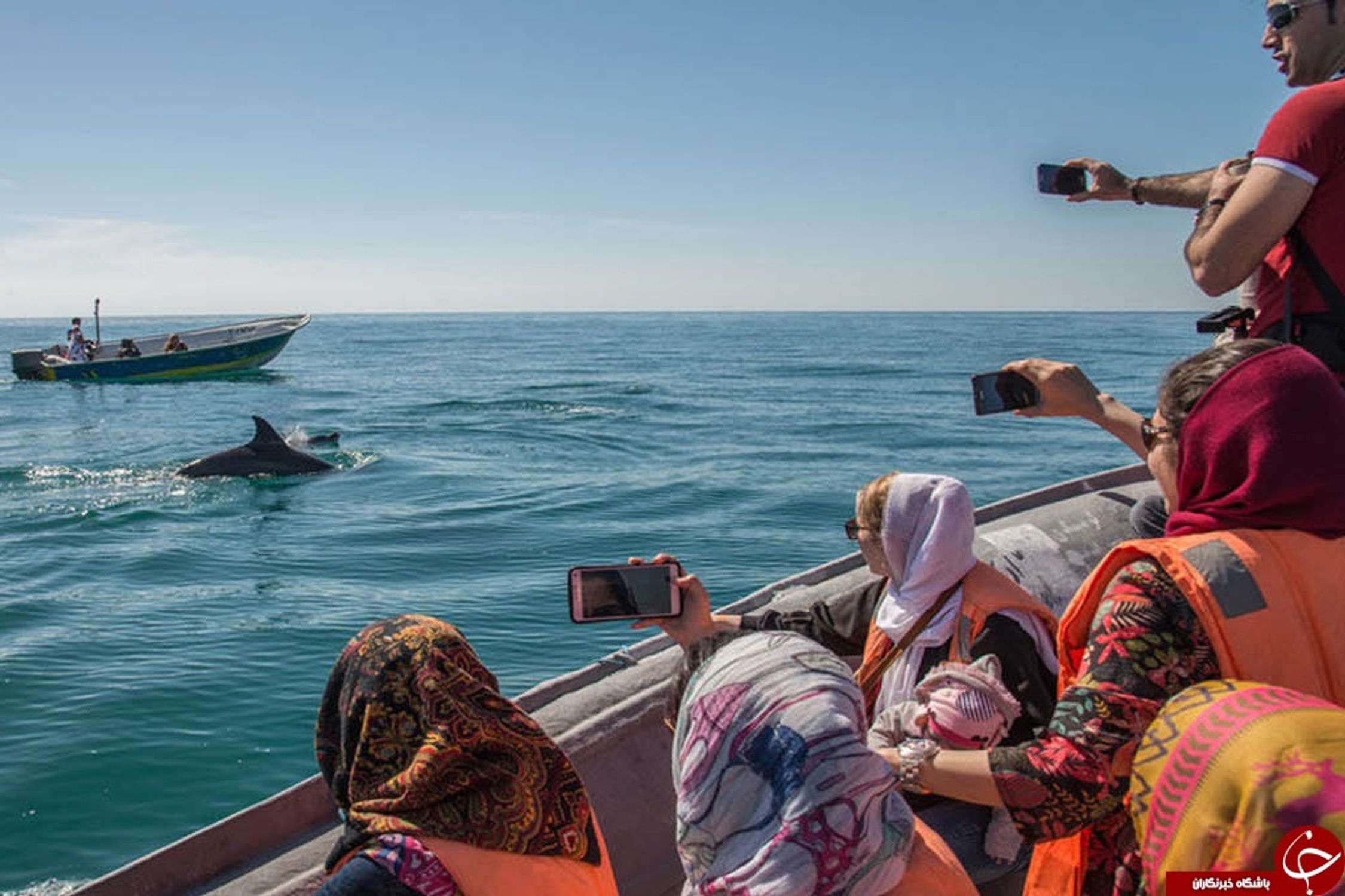 A Comprehensive Guide to Exploring Qeshm Island