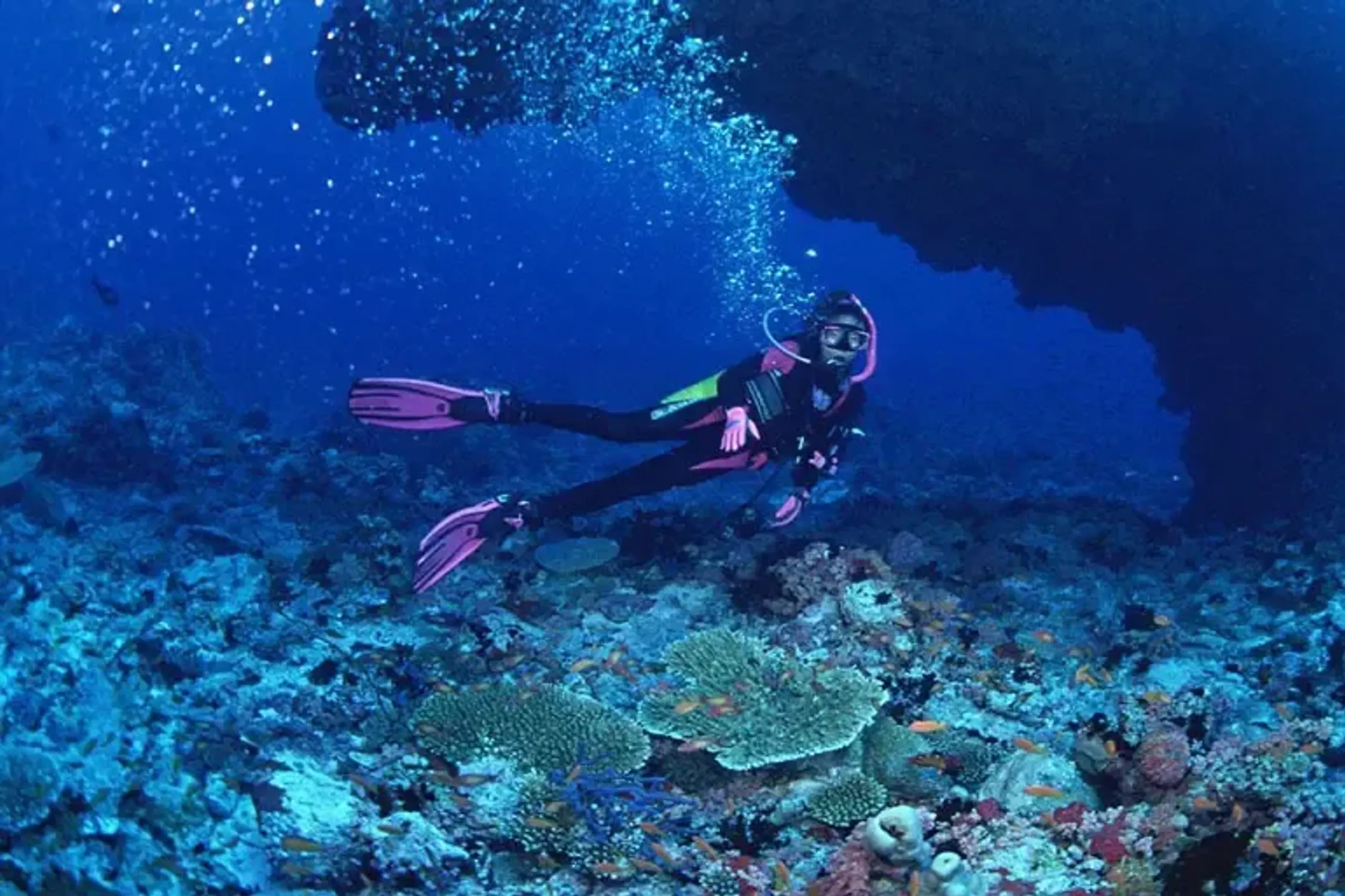 Special Discounts on Diving in Zeytoon Park Qeshm | Online Booking