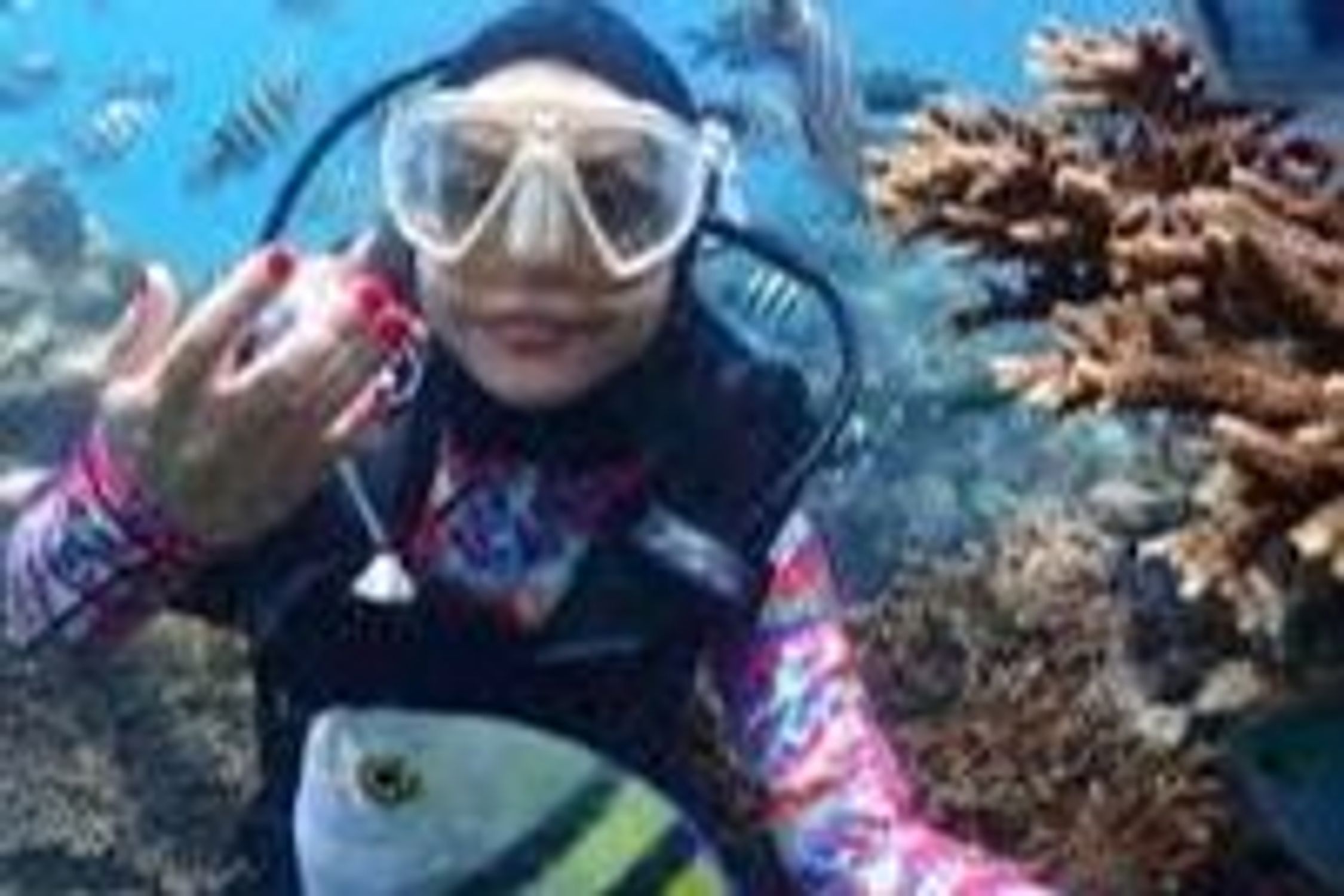 The Best Diving Sites in Qeshm | An Unparalleled Experience at Zeytoon Park