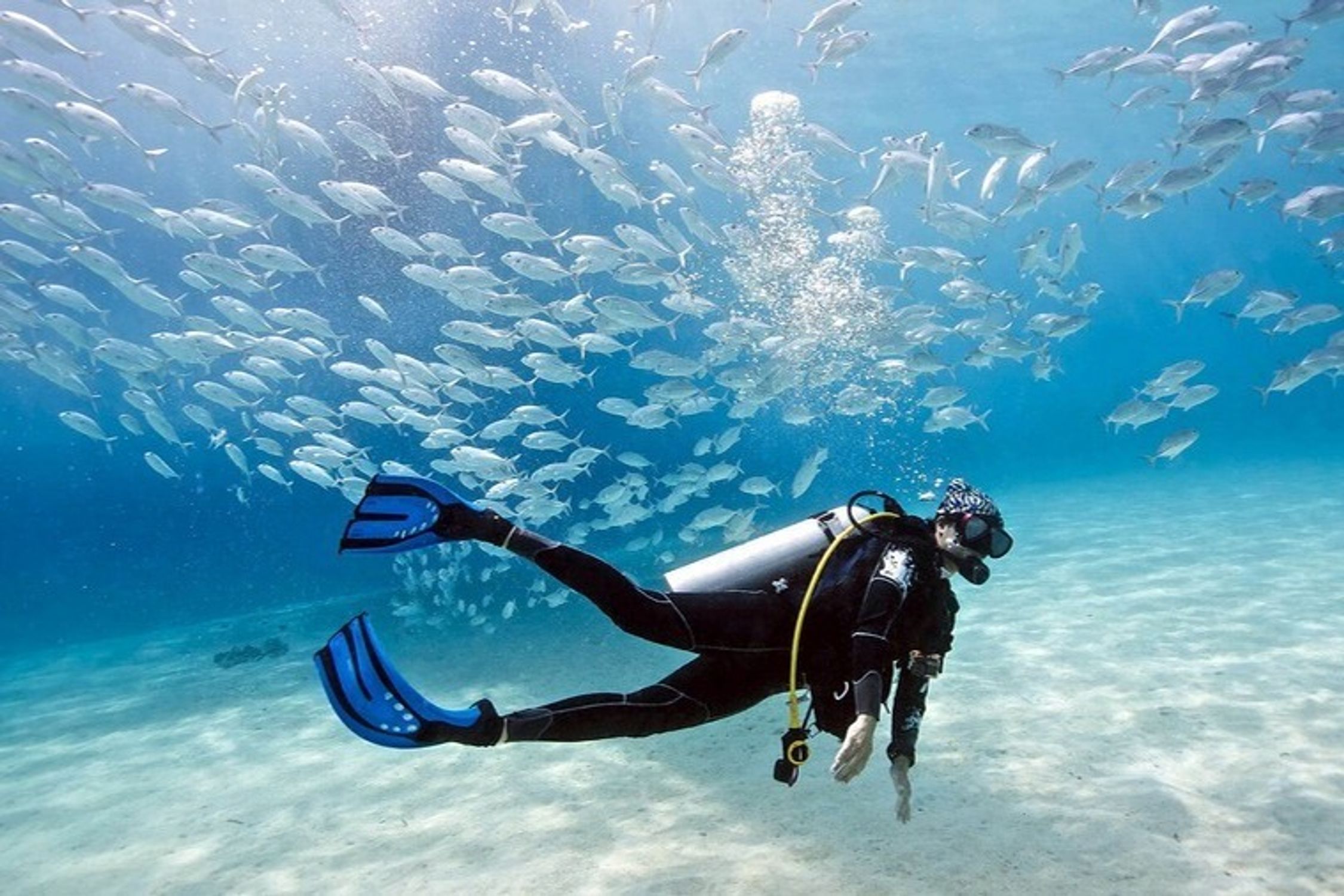 Title: Special Offers for Family Trips to -Friendly Hotels to Group Activities