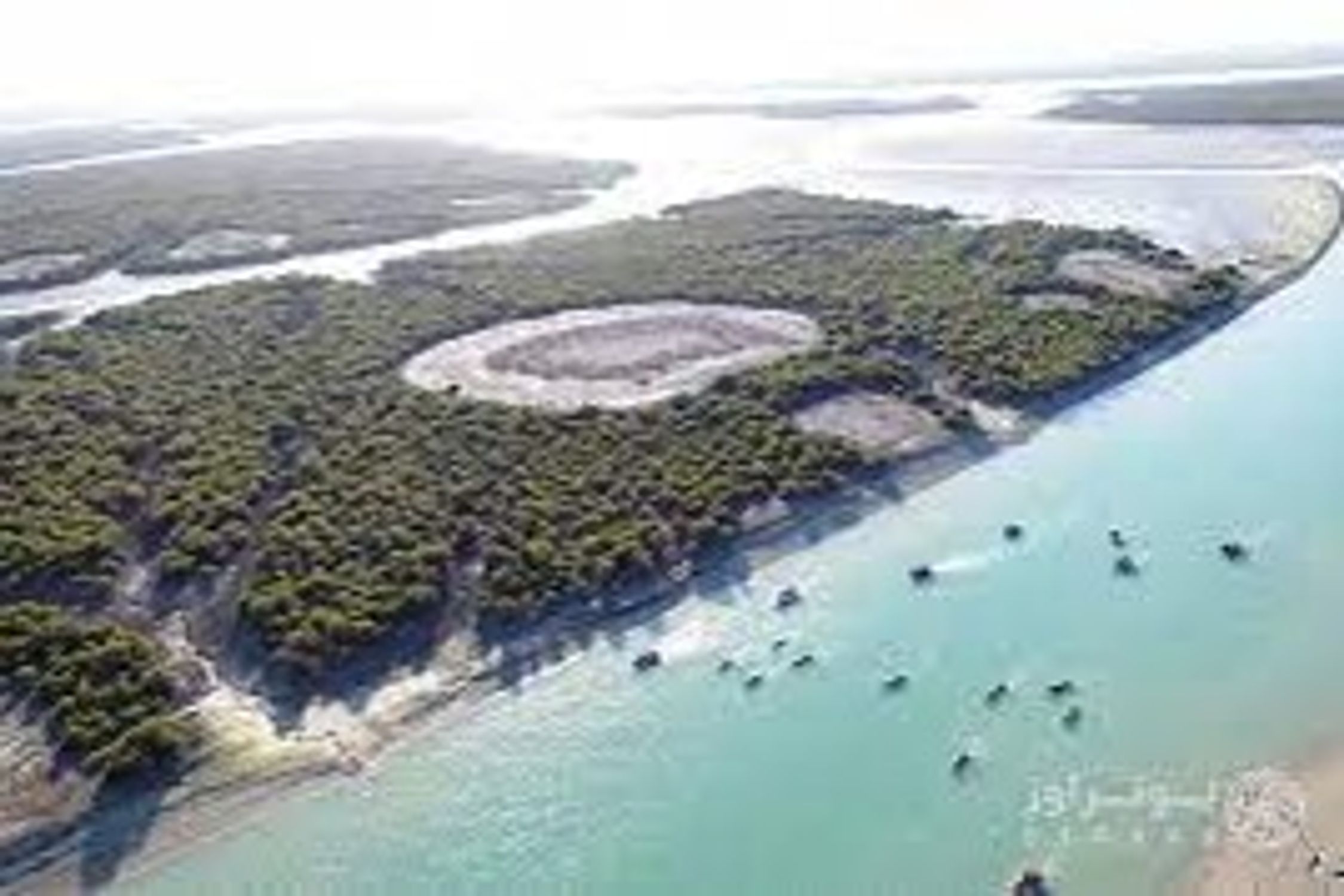 Tourist Attractions of Hara Forest in Qeshm