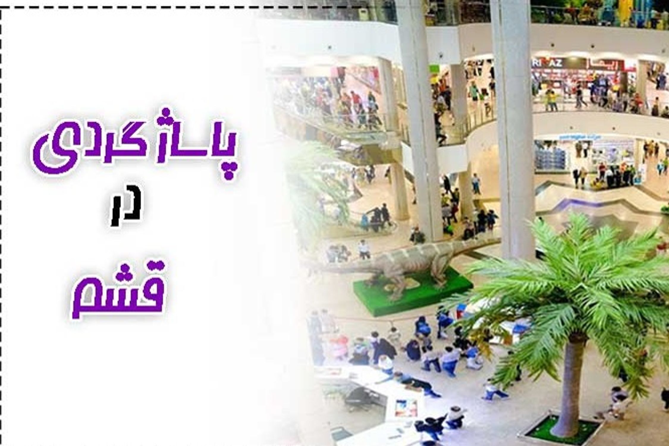 Traveling to Qeshm with Children: Best Activities and
